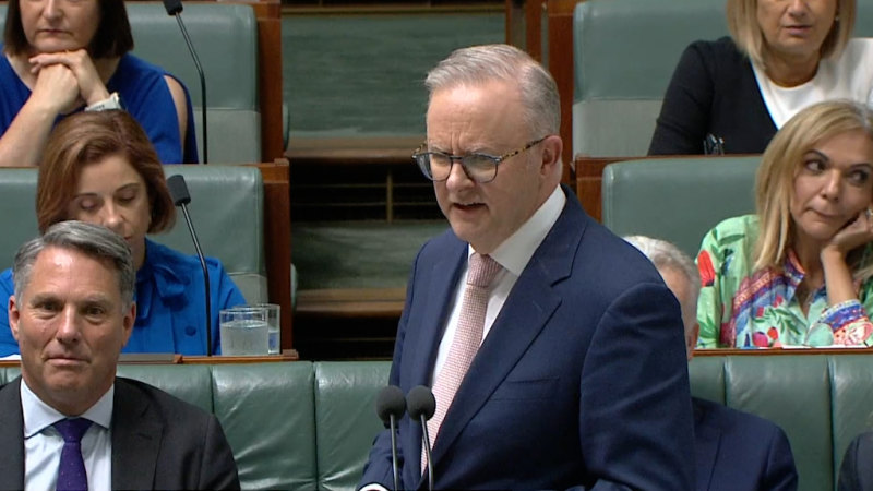 Albanese apologises for Tourette syndrome remarks