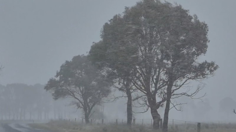 Icy temperatures, winds lash Queensland