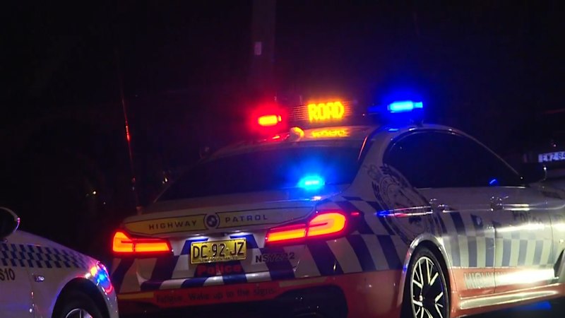 Two arrested after stabbing in luxury Sydney suburb