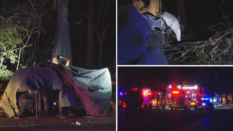 Two people dead in Sydney after their car crashed into a tree