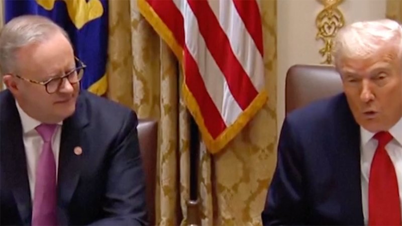 'It's a great honour to have you as my friend': Trump and Albanese meet in Washington