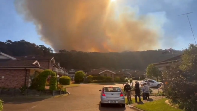 Firefighters respond to out-of-control bushfire in Sydney’s north