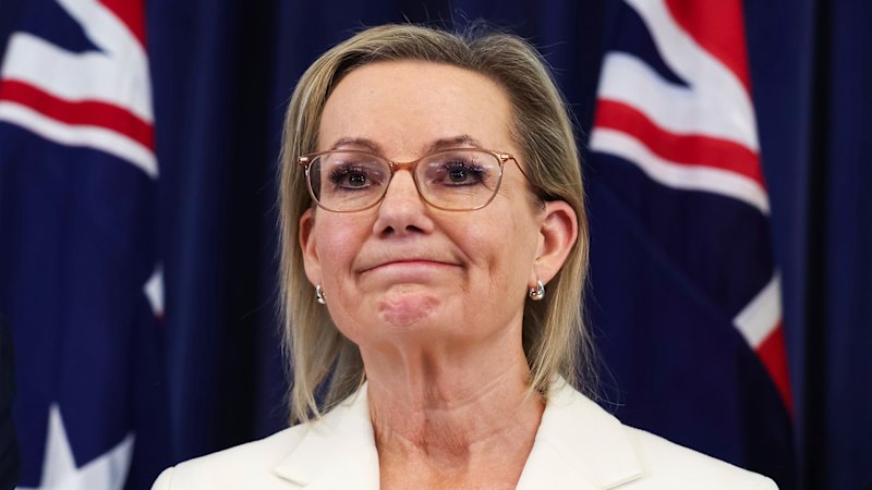 Sussan Ley faces hard questions