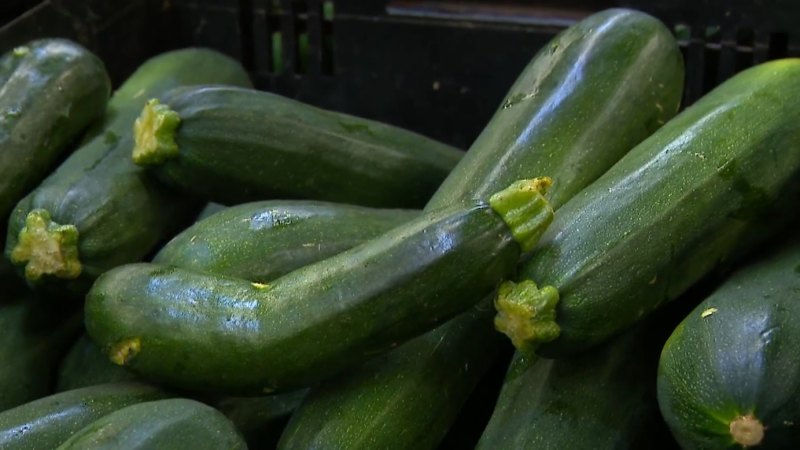 Two Melbourne mates stamping out food waste