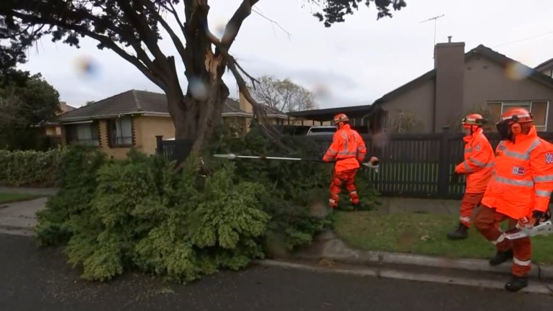 Crews work to restore power to 40,000 Victorian households after wild weather