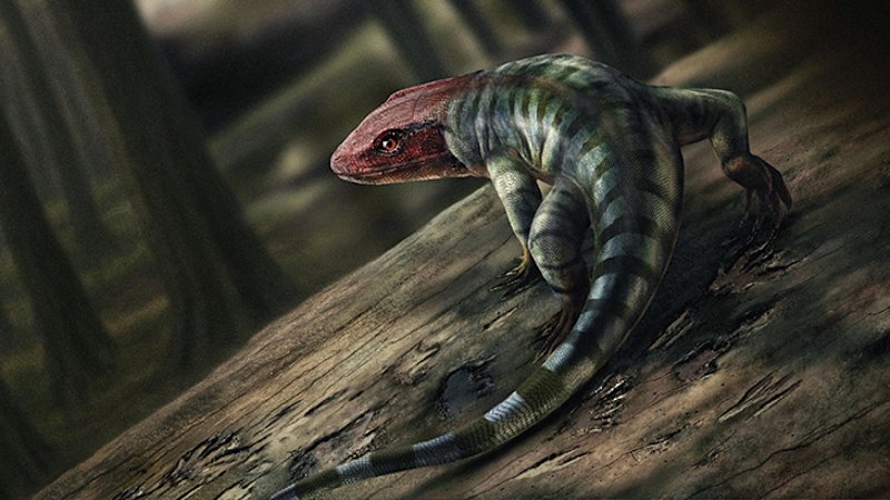 Ancient tracks rewrite reptile origins