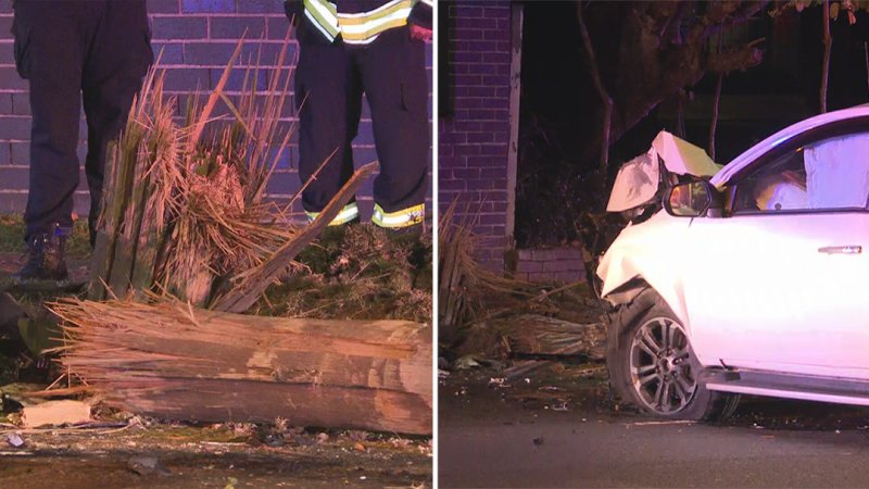 Alleged drunk driver hits pole in Sydney