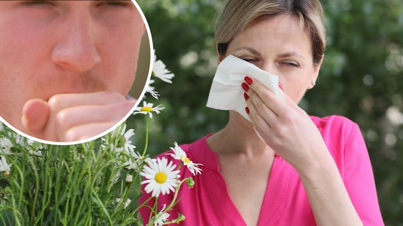 Early hay fever season sparks health warning from doctors