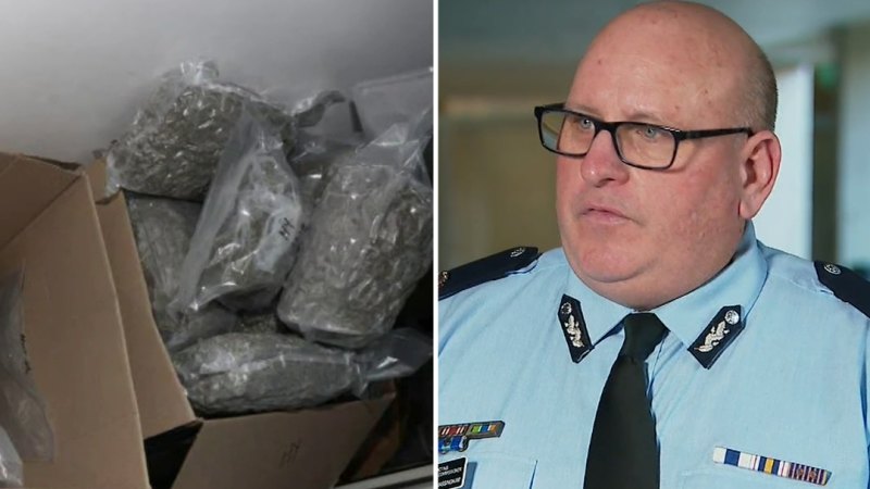 Four charged after police allegedly uncover $500,000 cannabis haul in Brisbane