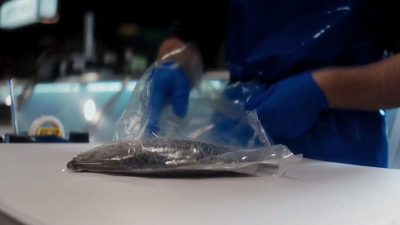 The $750k push to get South Australians to buy local seafood