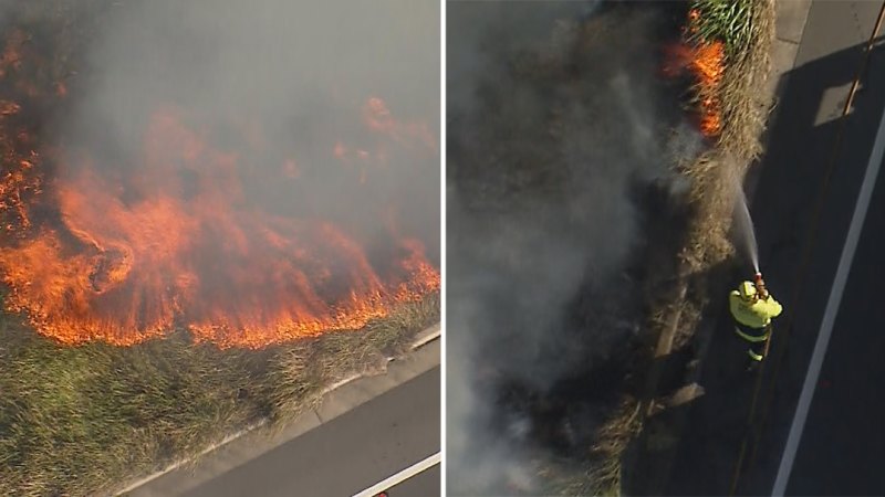 Two grassfires are burning in south west Sydney