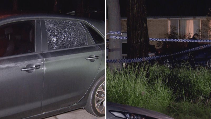 Police searching for suspects after man shot in the neck during a violent robbery in Queensland