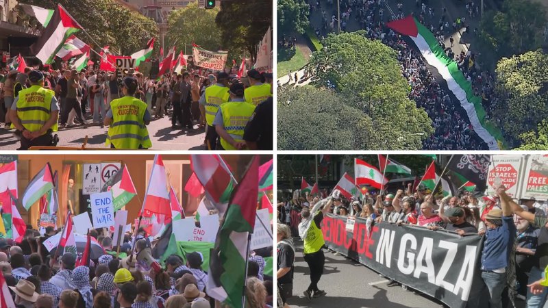 Thousands of pro-Palestinian demonstrators march through Sydney