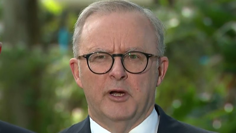 Albanese takes swipe at Greens