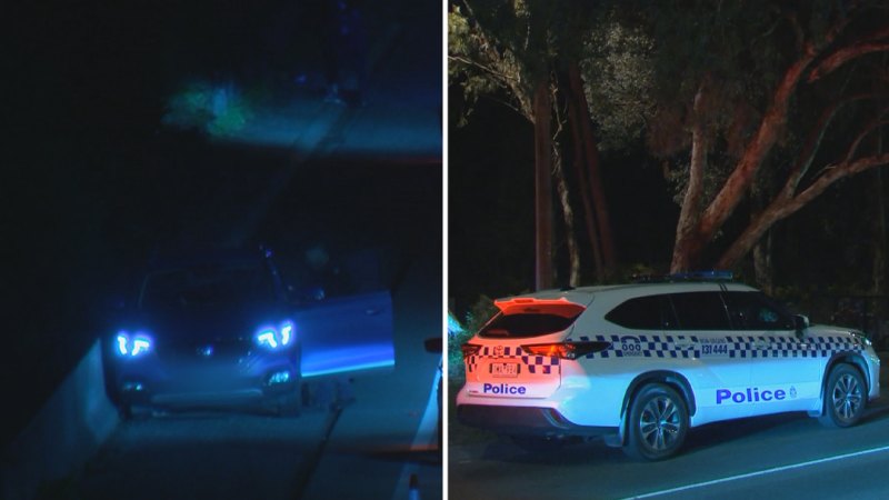 Four arrested after running red lights, driving on wrong side of Melbourne road