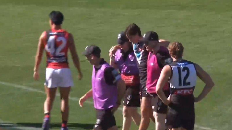 Could Rozee injury seal Butters’ exit from Port