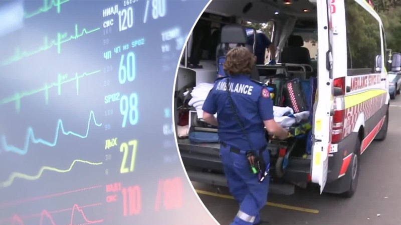 NSW emergency services seriously suffering, report finds