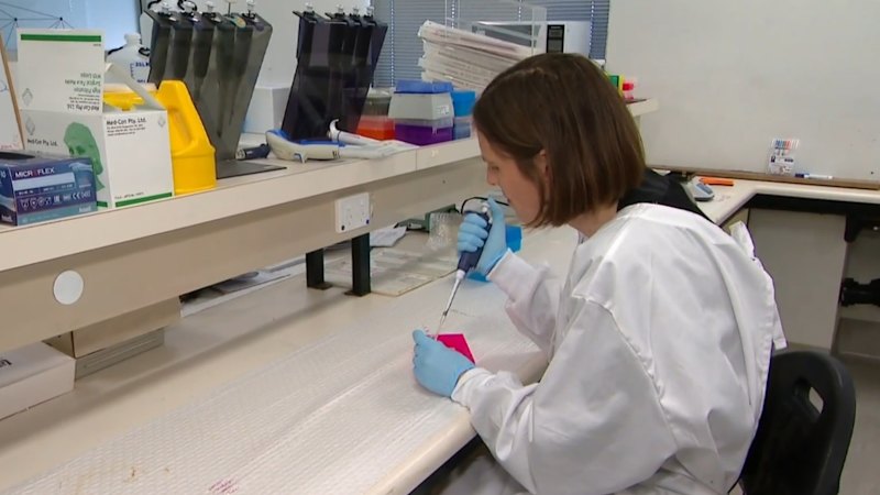 Australian-made treatment shows promising results in concussion treatment