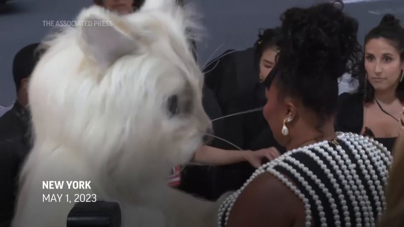 Jared Leto channels Lagerfeld's cat at Met Gala