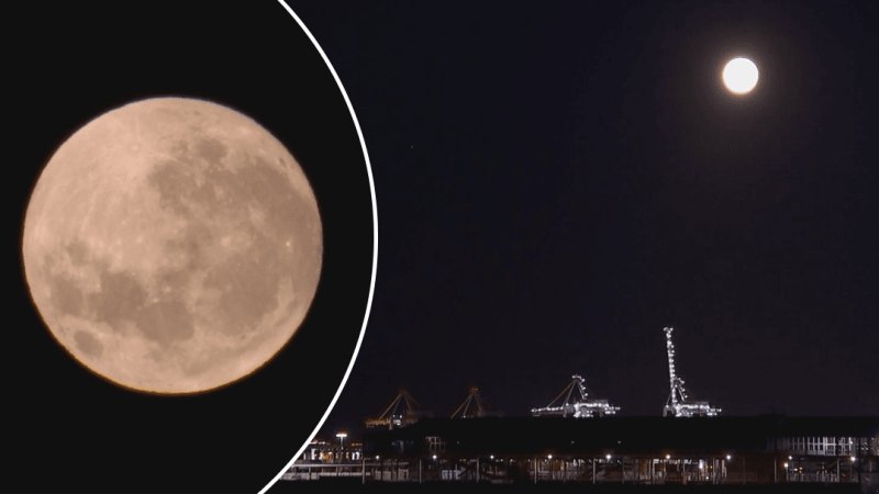 Biggest supermoon of the year set to light up skies