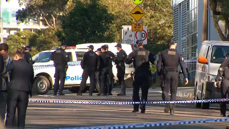 Sydney underworld figure shot dead