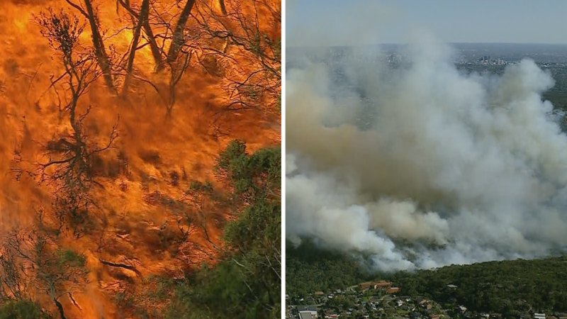 Sydney bushfire could burn for days