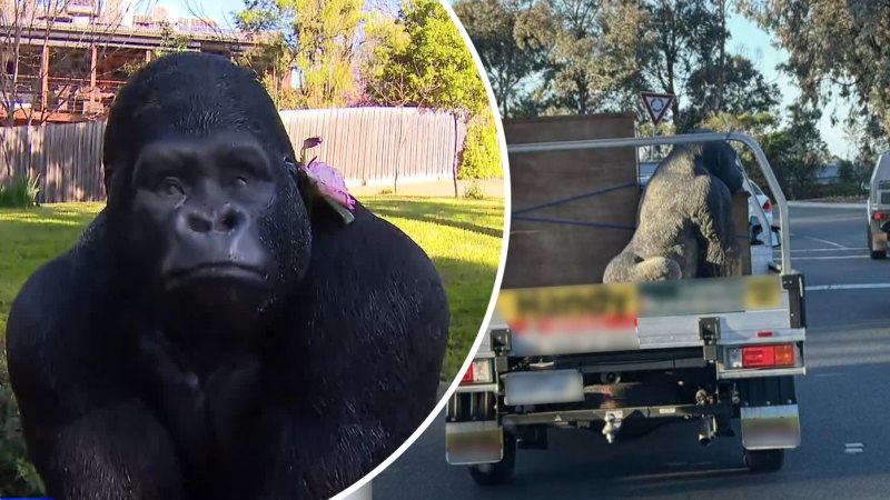 Thief admits to ‘silly’ mistake after gorilla statue theft