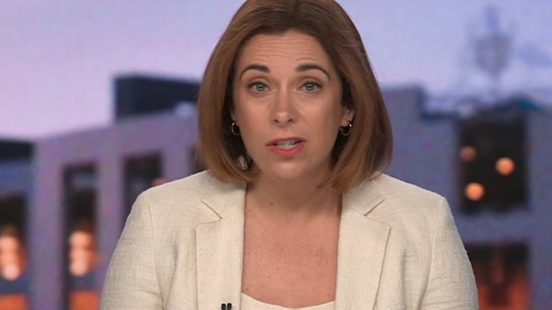 YouTube sent Wiggles to lobby me: communications minister