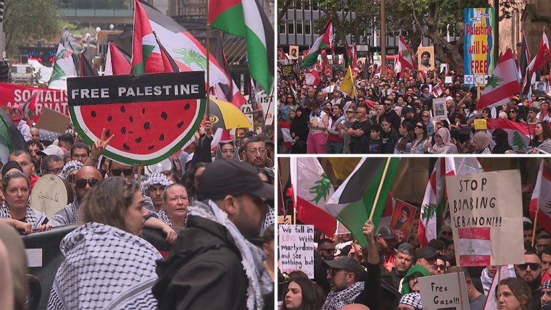 PM warns against pro-Palestine supporters staging protests on October 7