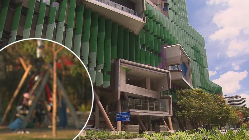 Baby recovering in hospital from burns after being attacked at a Brisbane park