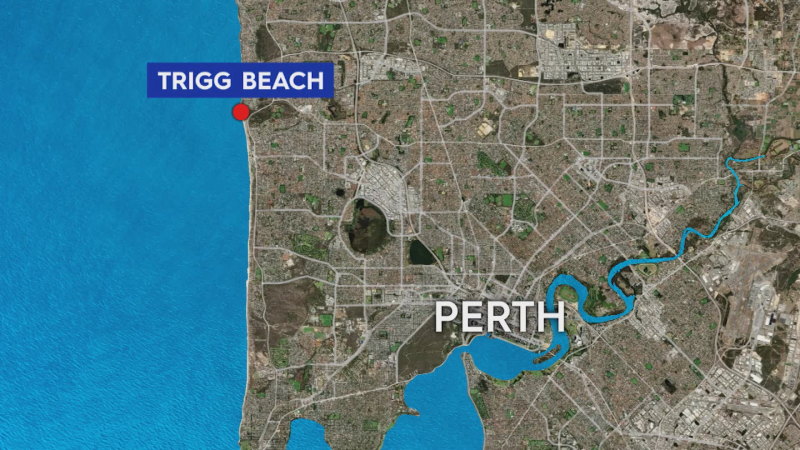 Surfer attacked by shark at popular Perth swimming spot