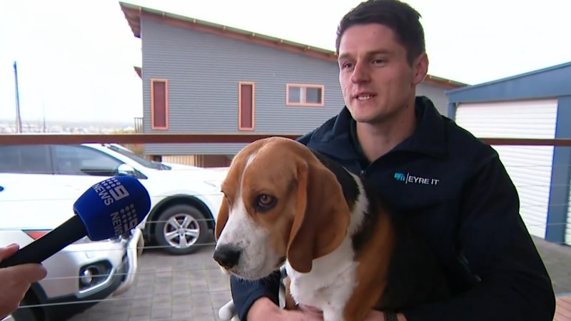 Walker on moment his dog stumbled across remains of alleged Beauty and the Geek murder victim