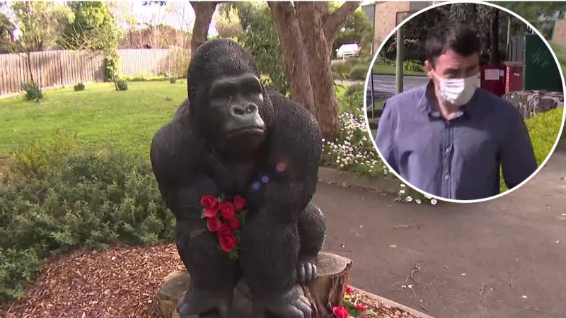 Retirement village gorilla thief gets community service