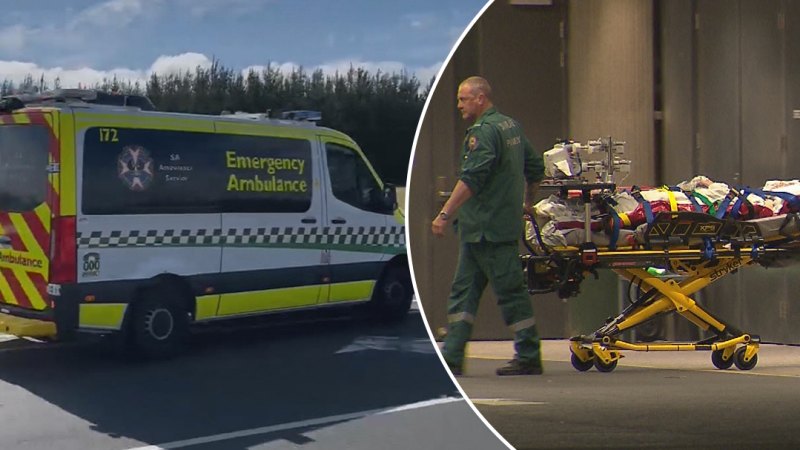 Boy killed in SA highway crash after car hits emu