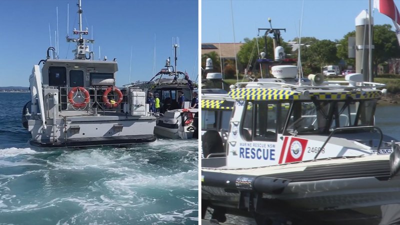 Fisherman taken to hospital after being hit by whale