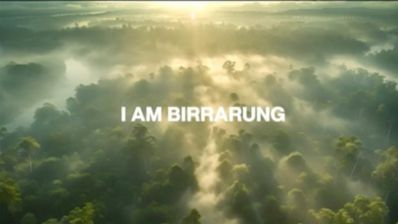 I am Birrarung