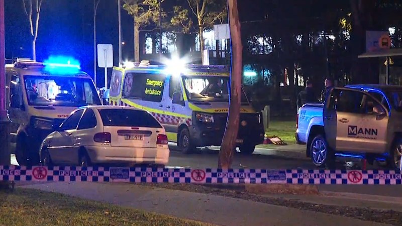 Man stabbed to death in Sydney