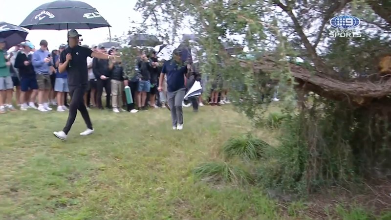 a5bcce9b770c29b9843435259c803716708faed5