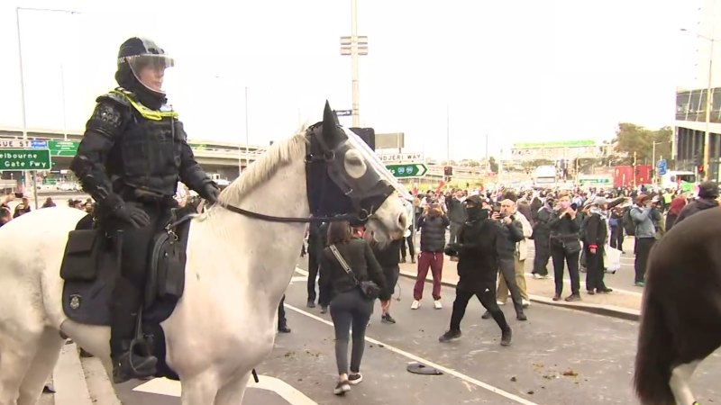 Claims that police operation against Melbourne protests cost taxpayers $30 million