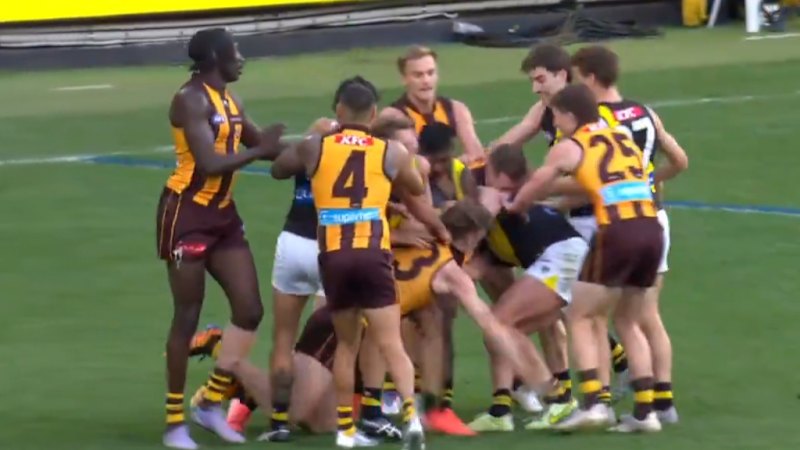 Tigers and Hawks brawls erupts at the MCG