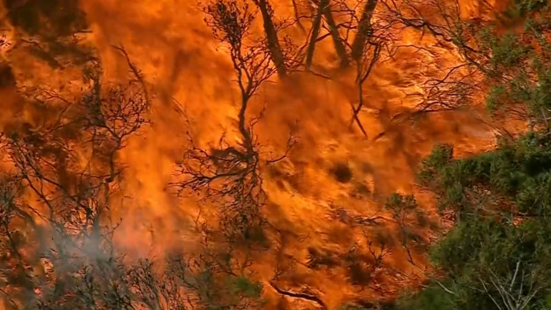 Bushfire warning in Sydney’s north downgraded as conditions begin to ease