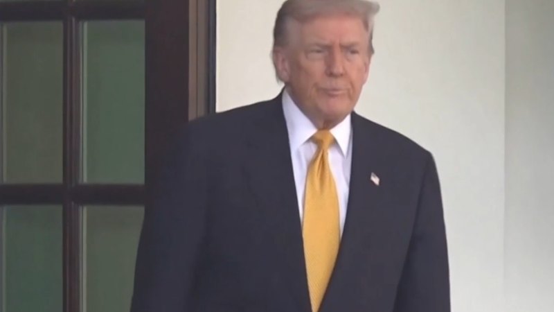 Trump demands air traffic controllers return to work