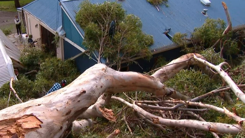 Adelaide braces for more wild weather