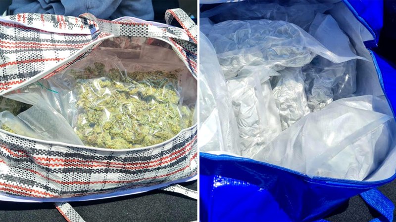 Huge haul of cannabis allegedly found in car that hit kangaroo in regional NSW