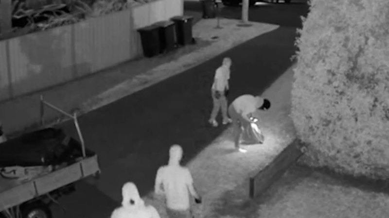 Teens terrorise south-east Queensland