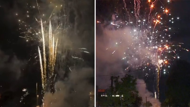 Cost of illegal fireworks in one Sydney suburb revealed