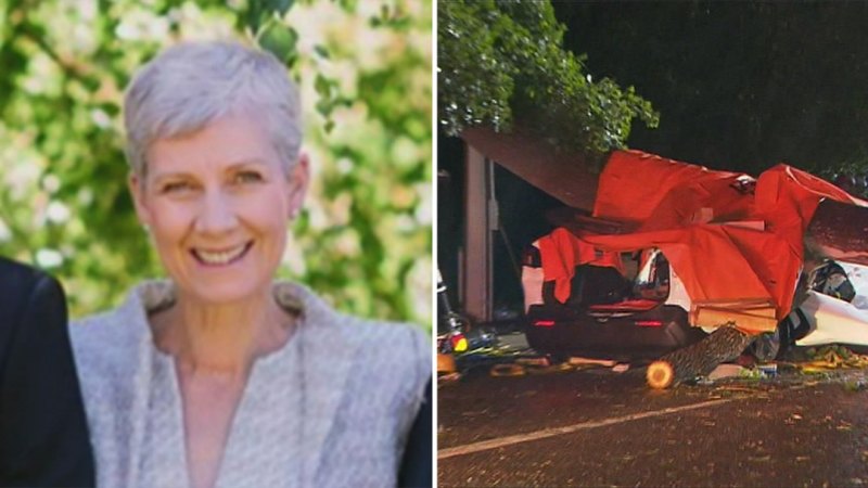 Investigation after grandmother killed by falling tree