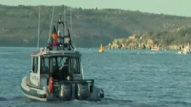 Humpback whale stuck in Sydney Harbour fishing nets