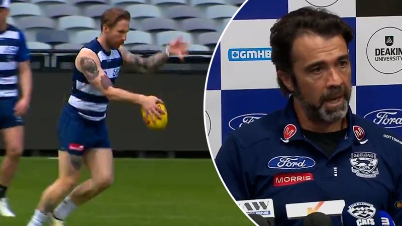 Cats coach opens up on heartbreaking preliminary final axing