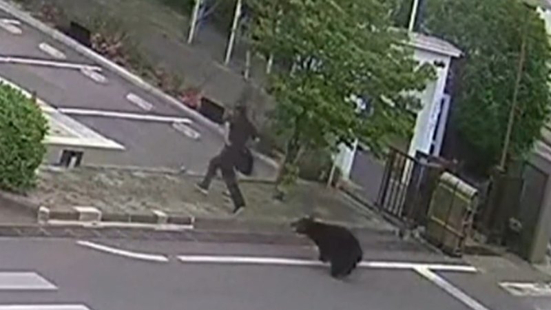 Bear chases man in Japan carpark